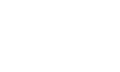 Chartered Accountants Australia & New Zealand member